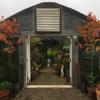 our greenhouse in fall